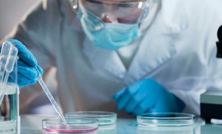 Toxinas ambientales podrían alterar fertilidad de generaciones futuras