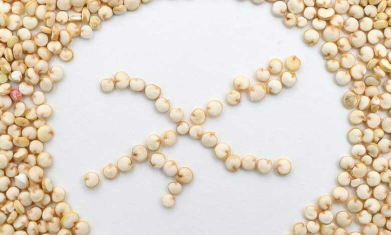Gluten y Lactosa… ¿Salud o marketing?