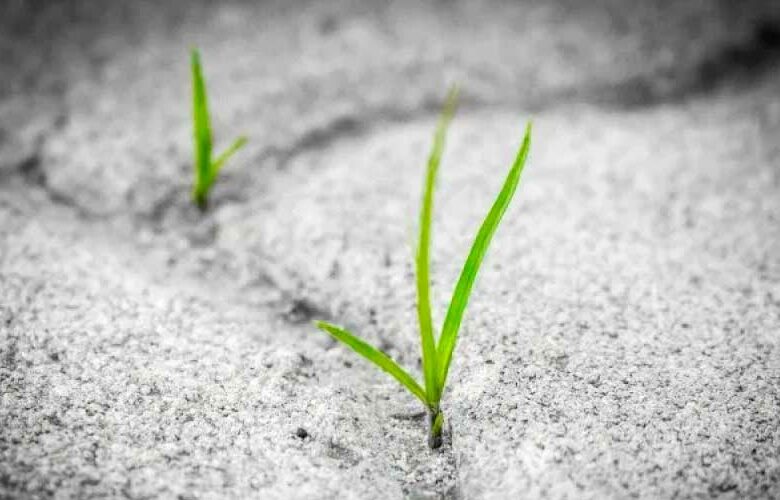 ¿Realmente la COVID-19 es buena para el medio ambiente?