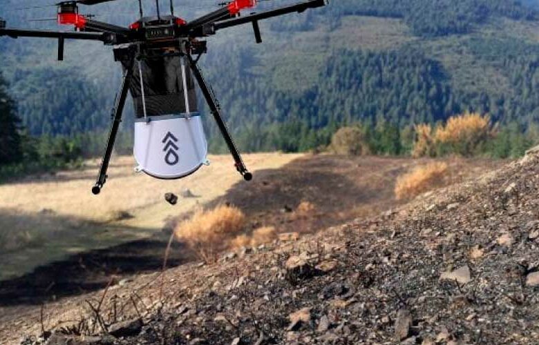 Estos drones son el ‘arma secreta’ contra la deforestación del planeta