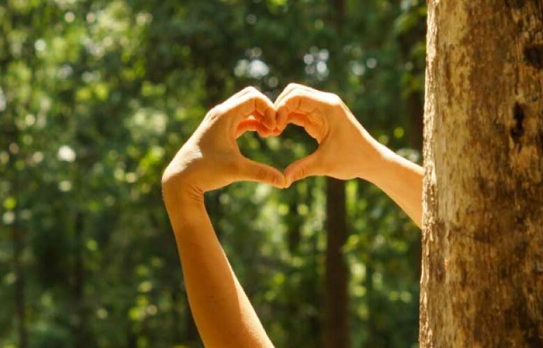 Medio ambiente: Beneficios del consumo responsable