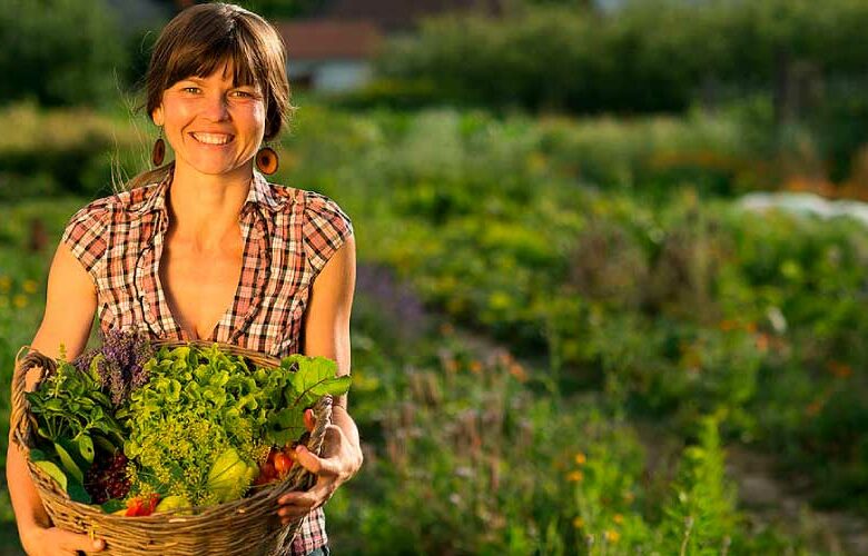 5 tips para empezar tu huerto en casa