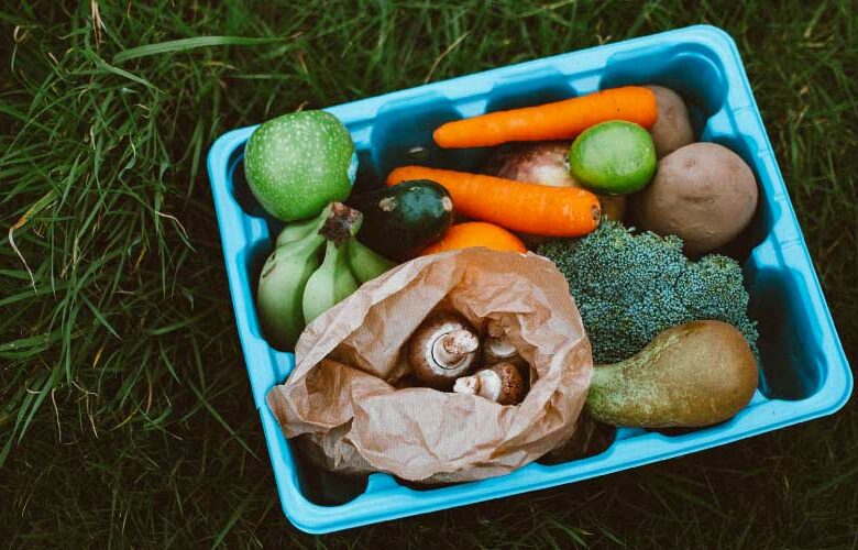 5 razones para quitar el césped y hacer un huerto