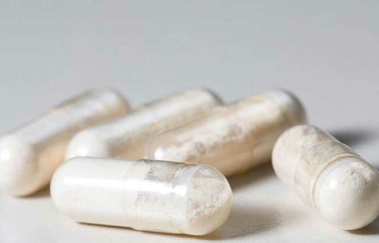 Probióticos, las bacterias buenas para tu cuerpo