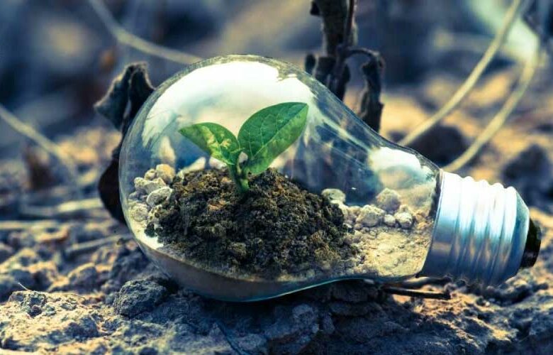 Cuida del medio ambiente con ayuda de estas tecnologías