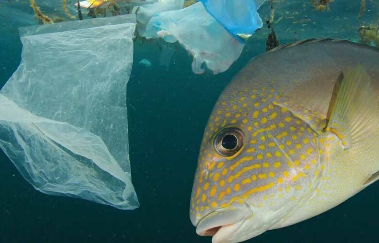 ¿Por qué es necesario medir el impacto ambiental de la actividad humana?