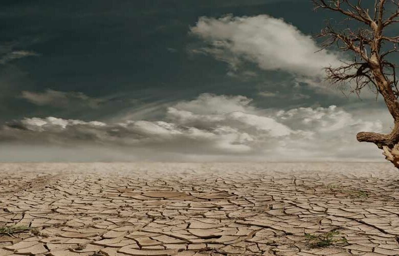 Efectos del cambio climático