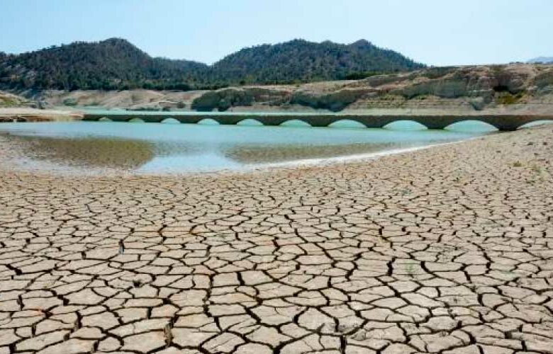 Agotamiento de los recursos naturales: causas y consecuencias