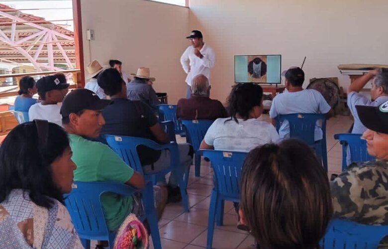 Capacitación para la producción de Jamaica a pequeños productores