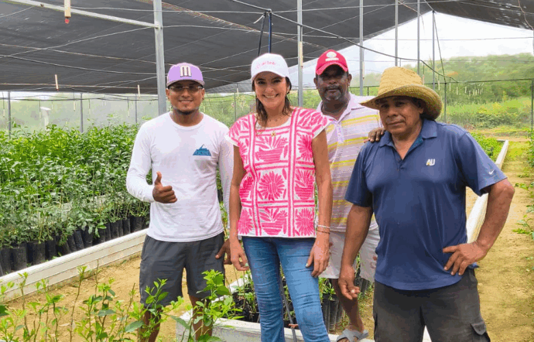 Avanza siembra de limón mexicano en vivero de Tututepec