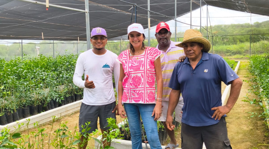 Avanza siembra de limón mexicano en vivero de Tututepec