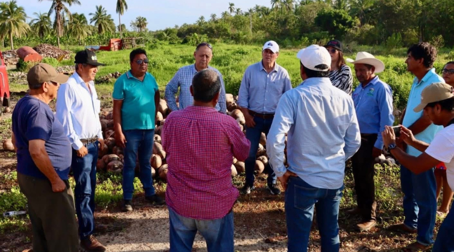 Secretario de Agricultura de Colima visita productores de limón y coco en la Costa Oaxaqueña
