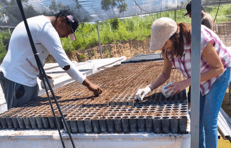 Donan semillas de limón para vivero en Villa de Tututepec