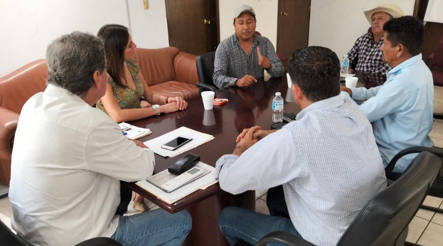 Oaxaca y Colima fortalecen vínculos para comercializar limón mexicano